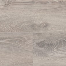 Норвезький дуб срібний